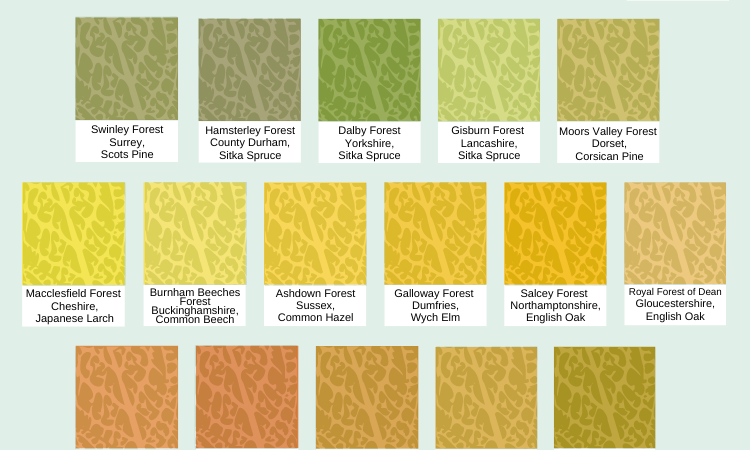 50 Shades of Trees: The ultimate guide to choosing a colour therapy holiday this autumn