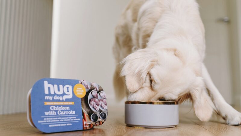 Meet HugMyDog – The UK’s first microwavable ready meal for dogs 🐶