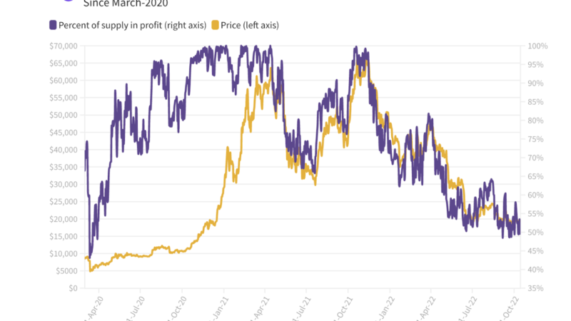 Less than 50% of Bitcoin addresses are profitable