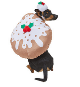 Ever wanted to know what the most popular Christmas dog costumes are?