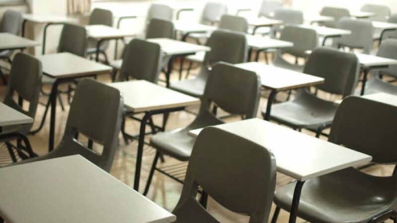 School absences of grave concern according to expert