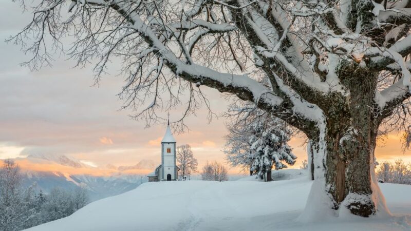 Wonderful winter: the most captivating images from the season