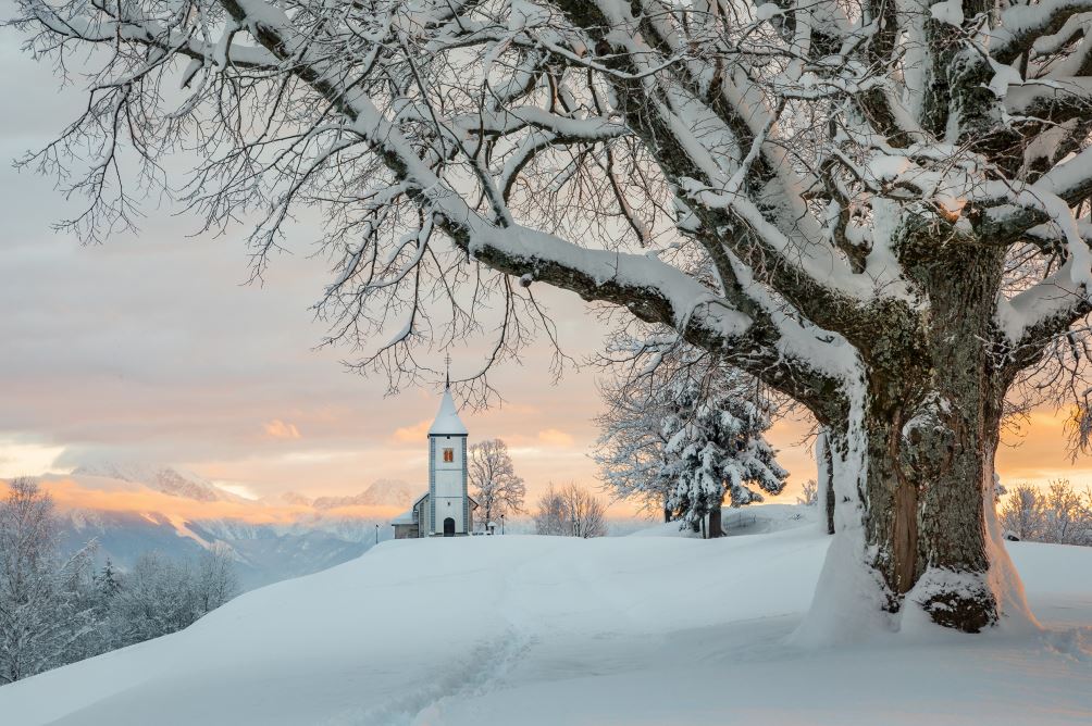 Wonderful winter: the most captivating images from the season