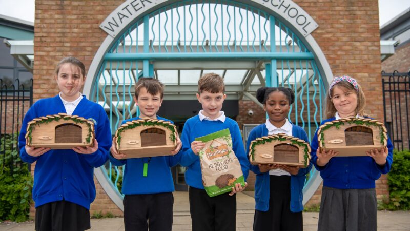 MILTON KEYNES SCHOOL RECEIVES HEDGEHOG HOMES FROM HOUSEBUILDER TO HELP PRICKLY PURSUIT