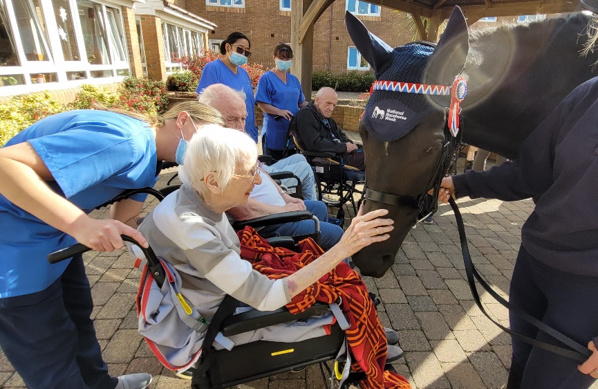 71% of people aged 12-40 said that they felt happy when they saw a horse up close