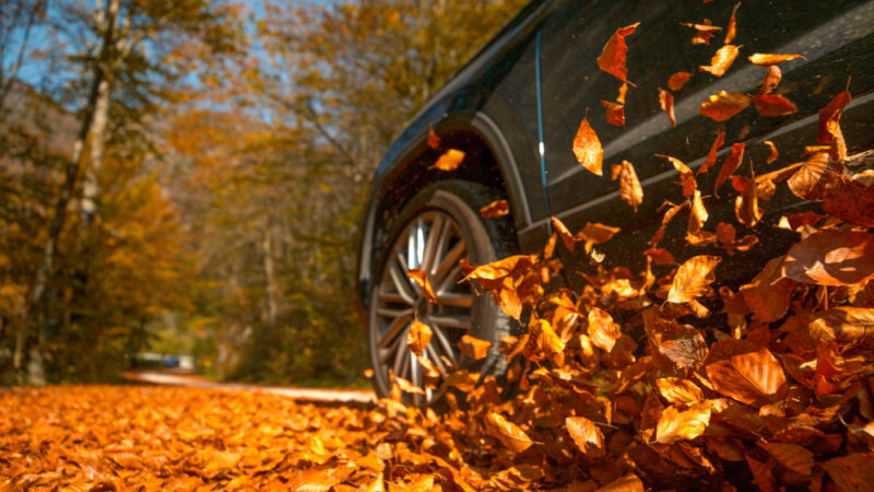 Autumn leaf fire warning for motorists