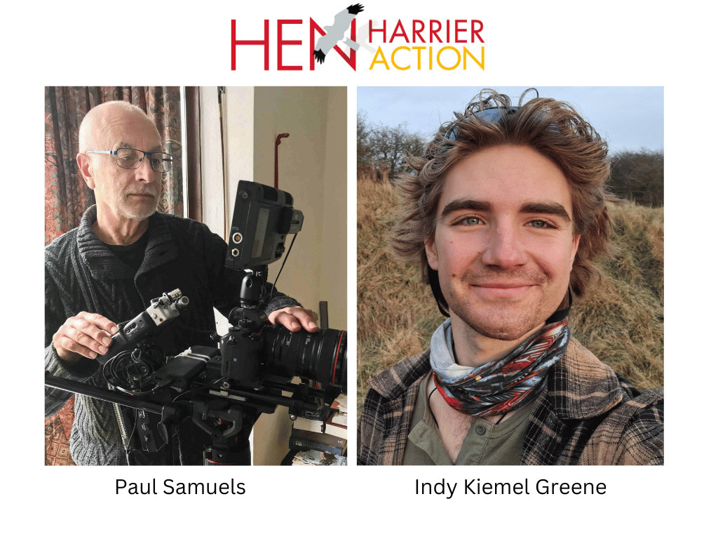 Wildlife Charity Hen Harrier Action Announces Board Changes