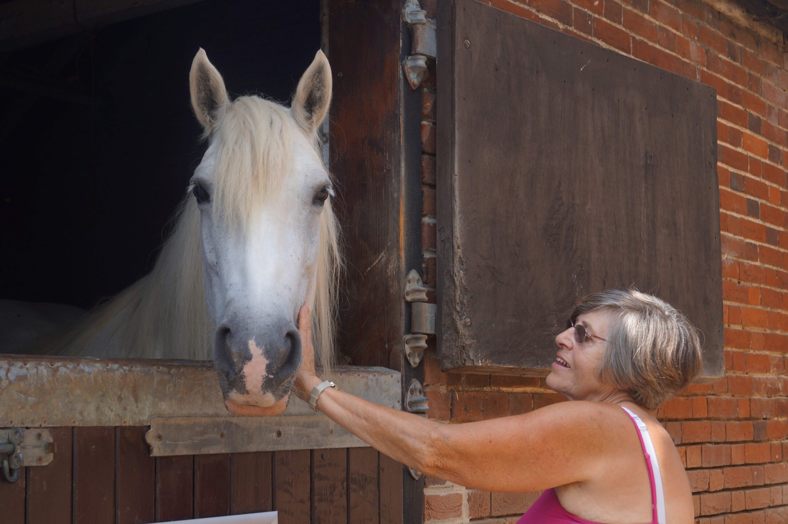 REDWINGS HORSE SANCTUARY CELEBRATES 40TH ANNIVERSARY