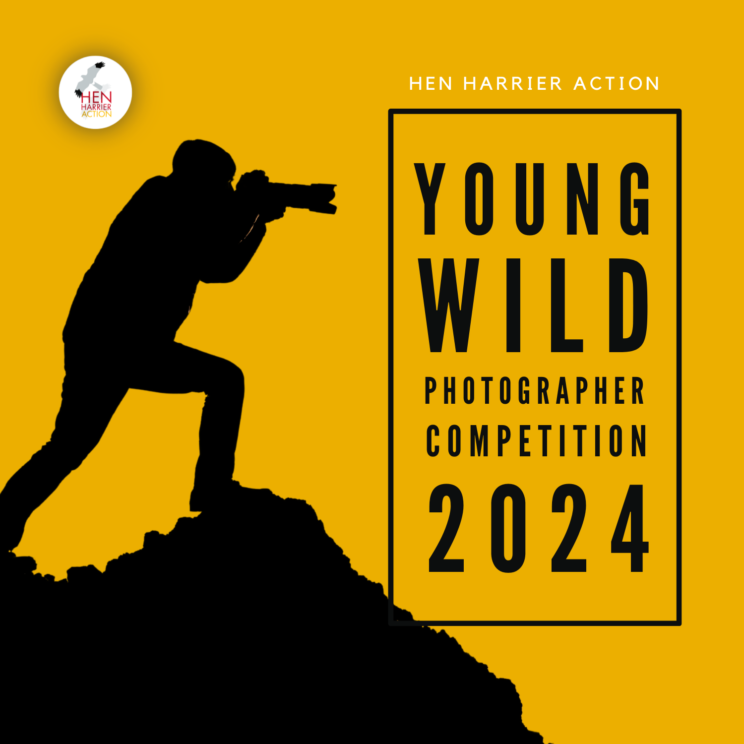 Young Wild Photographer Competition Launched by Wildlife Conservation Charity Hen Harrier Action