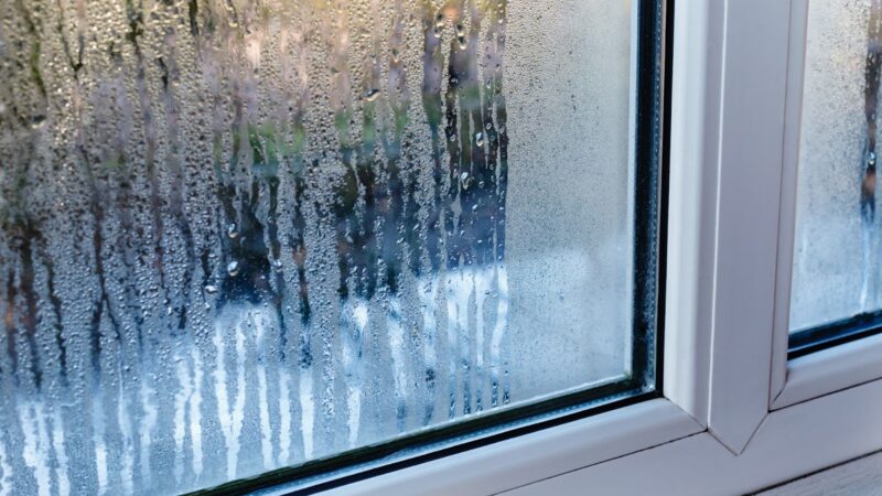 Salt is the secret to preventing mould and condensation