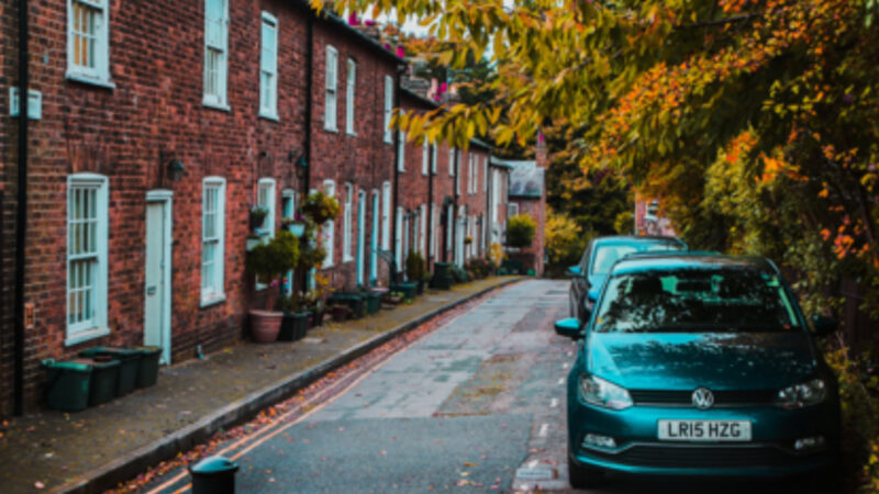 You Won’t Be-Leaf It: Which Trees to Avoid Parking Under This Autumn