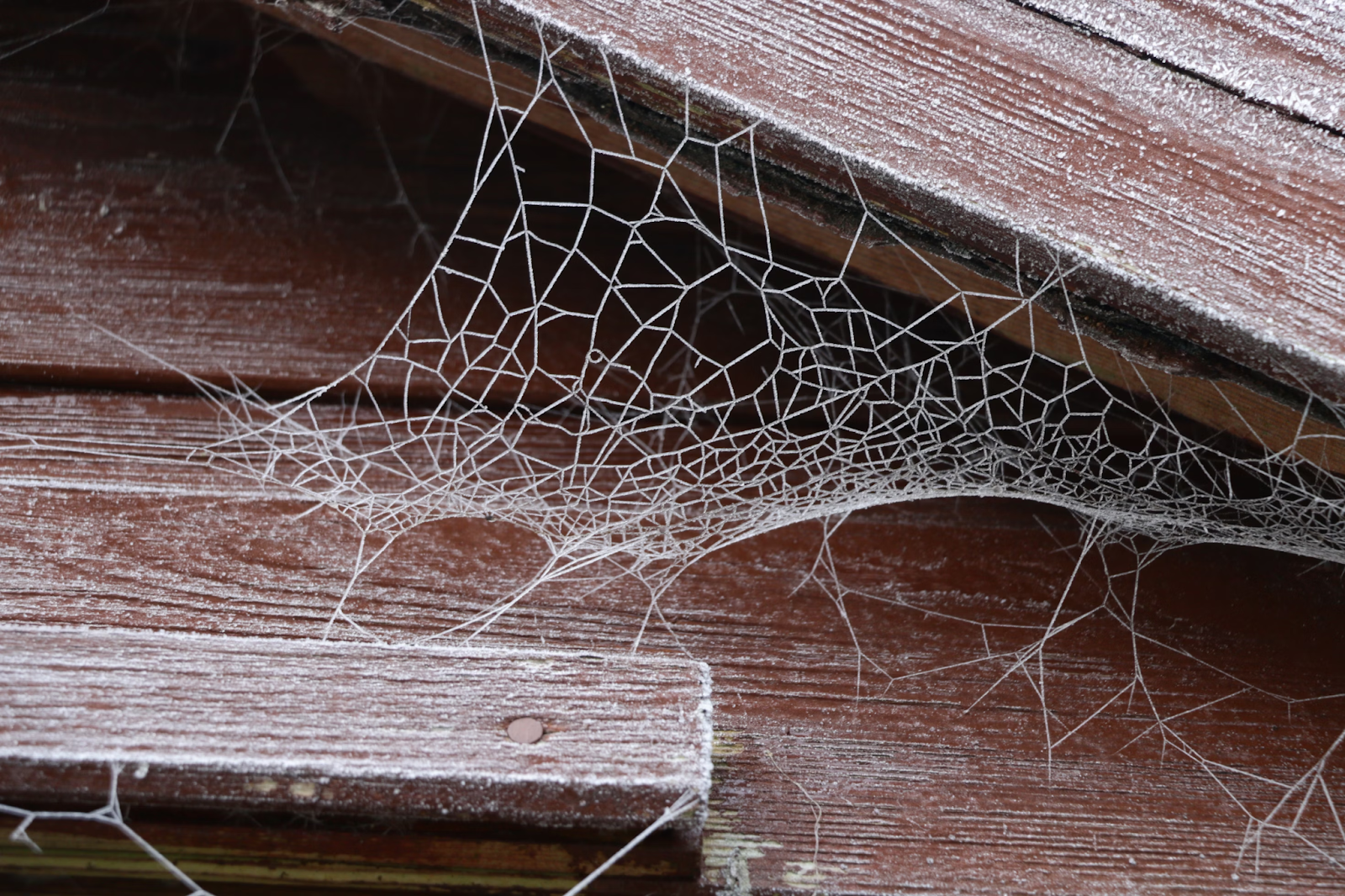 Households have been advised on how to protect their sheds from frost and icy conditions