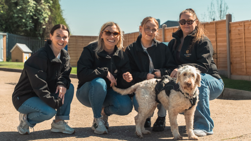Leicestershire housebuilder lends a helping hand at RSPCA Woodside