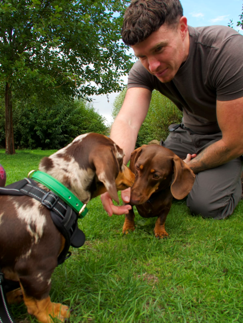 Allison Homes East Midlands helps unleash Leicester’s first ever Paw Festival