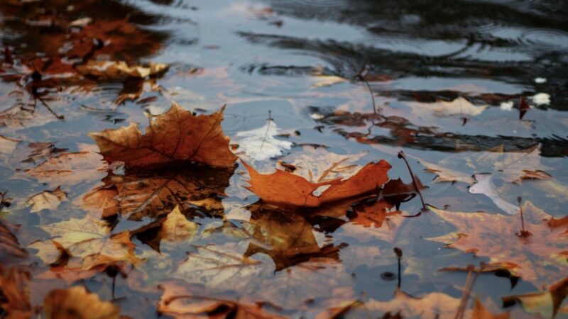 The autumn slump: Four in 10 women report feeling less confident as the seasons change