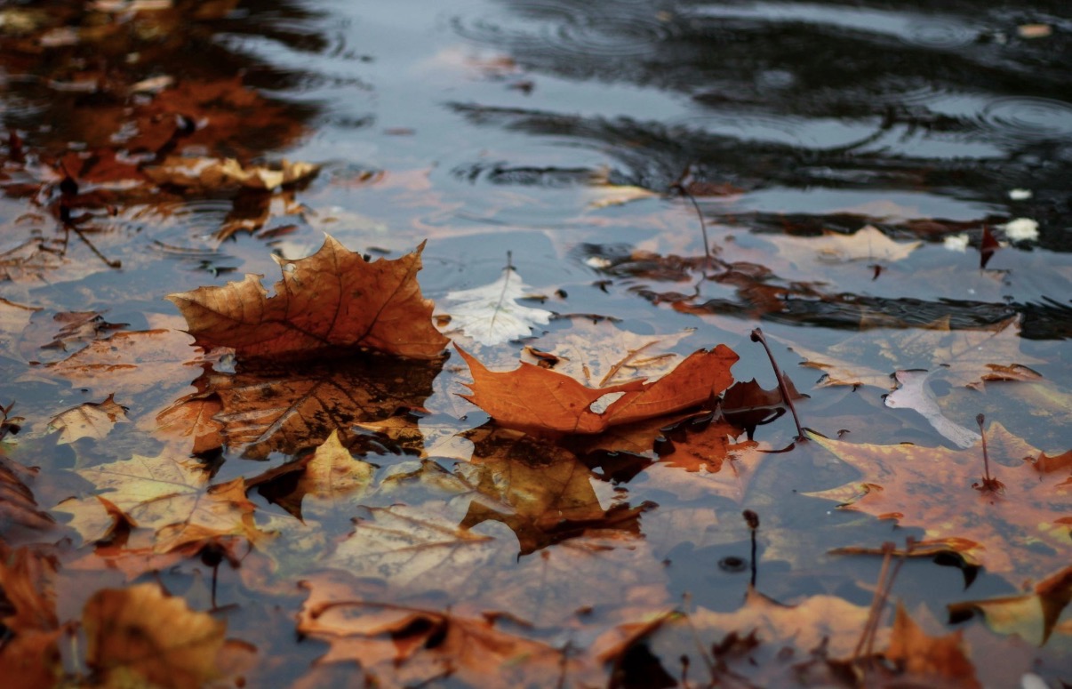 The autumn slump: Four in 10 women report feeling less confident as the seasons change