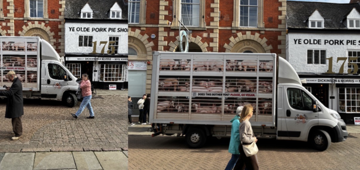 PETA Truck Shows Pigs Bound for Slaughter, Blasts Their Cries Outside Melton Mowbray Eatery